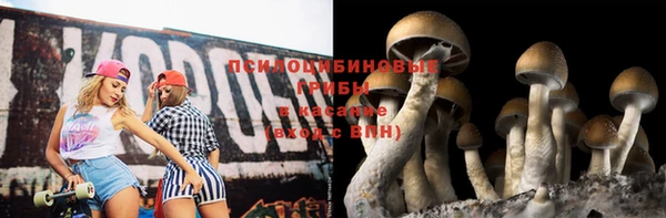 spice Пестово