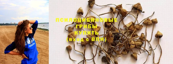 круглые Арсеньев
