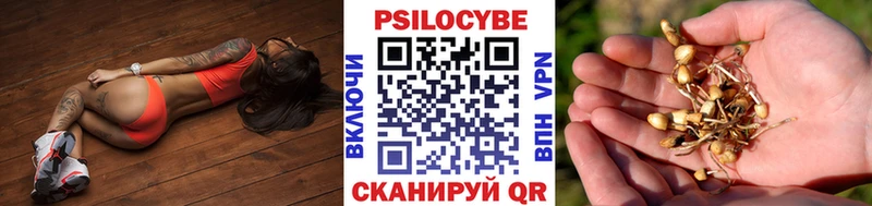 Галлюциногенные грибы мицелий  Никольское 